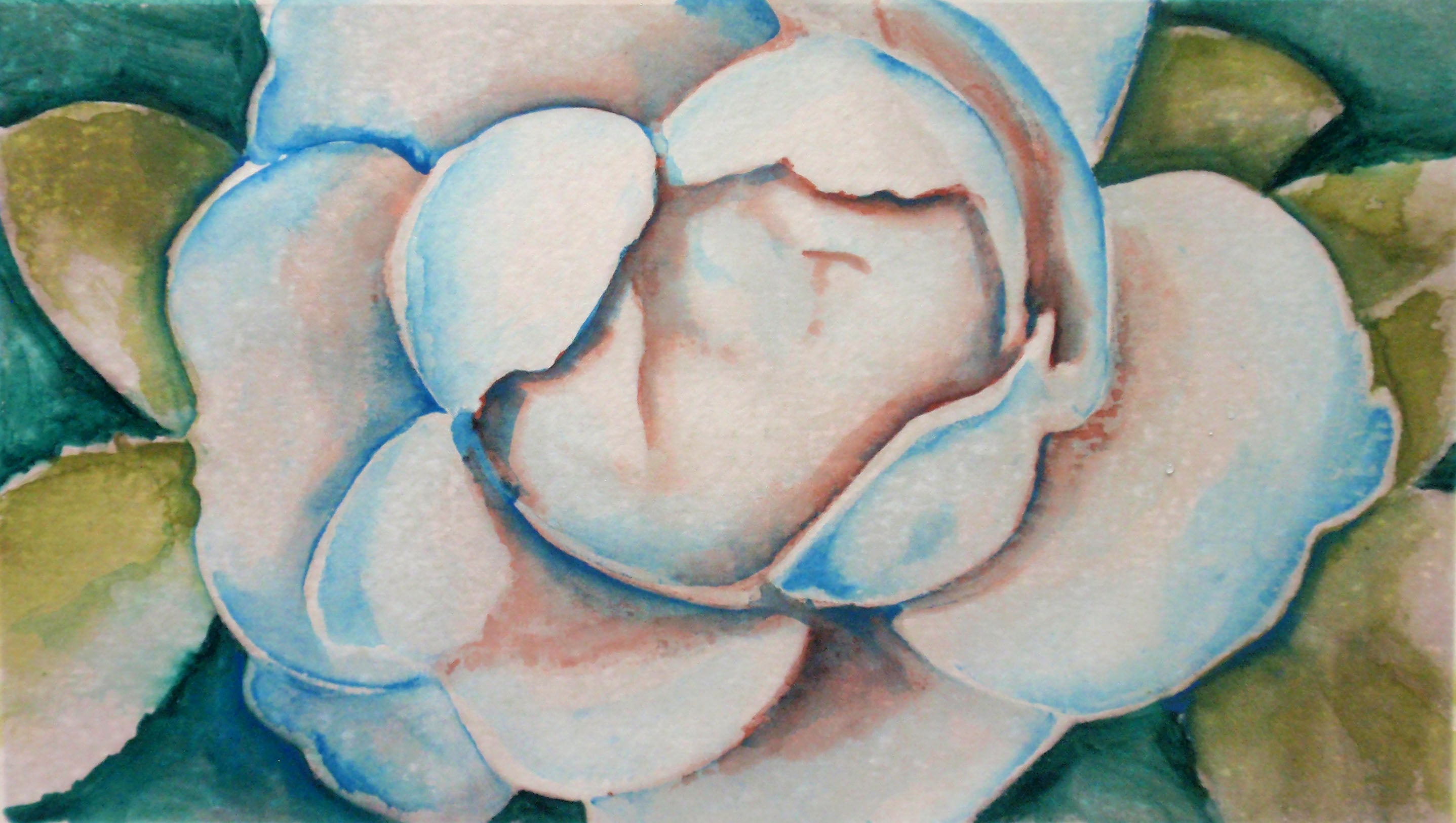 Putting Together My Rosa Gallery Watercolour Paint Palette, with