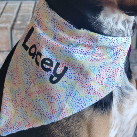 How to Cut Fabric with Cricut // Personalized Pet Bandana