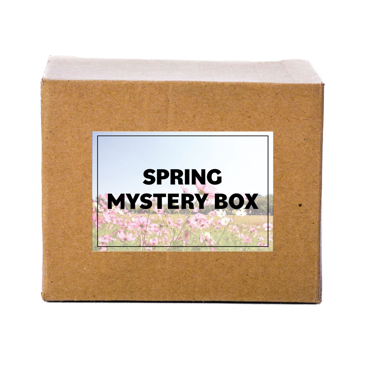 Mystery Box 3 Bundle - Cricut Spring