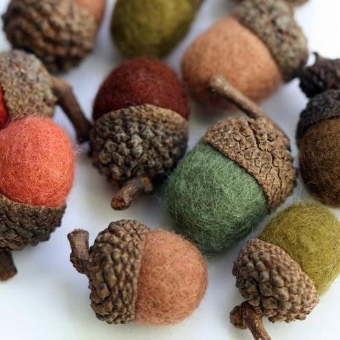 Acorn Accent Fall Projects Ideas