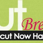 New Cricut Universal Overlay Questions Answered!