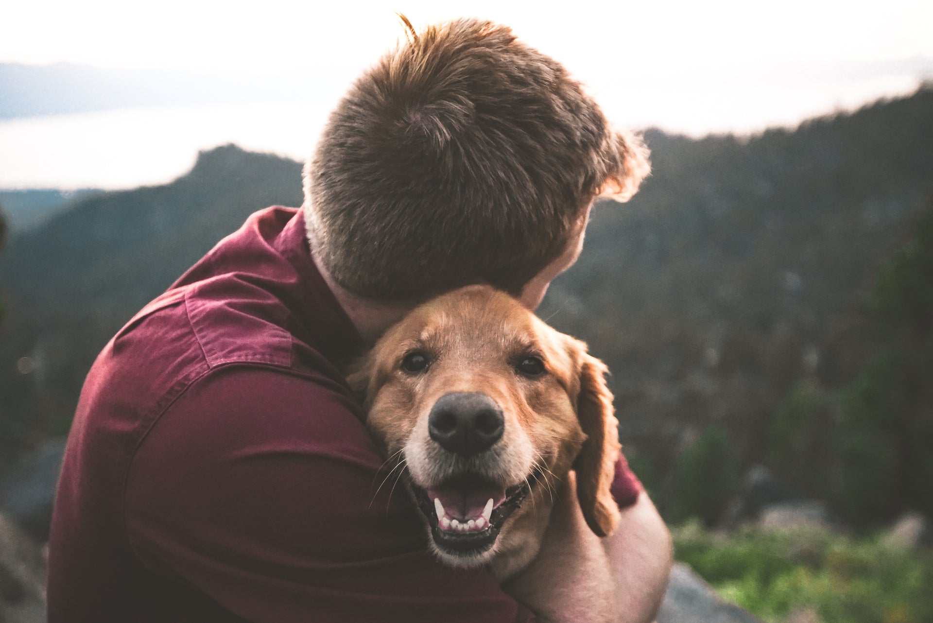 Valentine's Gifts for Pets