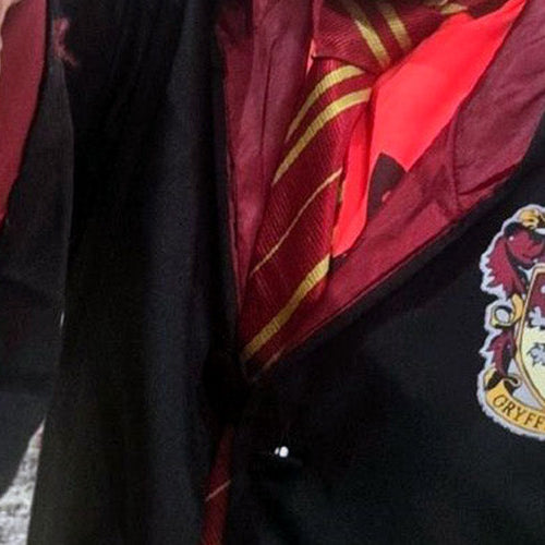 Harry Potter Costume with Cricut Print-Then-Cut