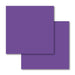 Cricut Infusible Ink Transfer Sheets Ultraviolet - Damaged Package
