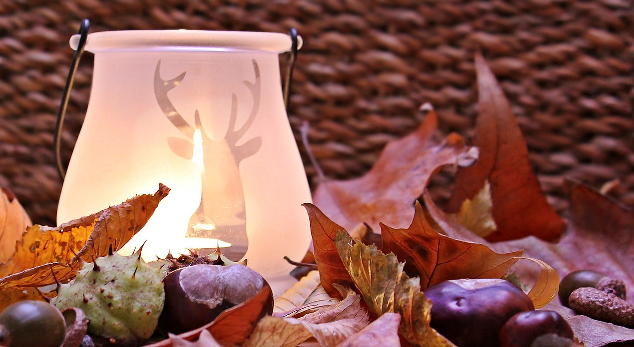 Fall Collection