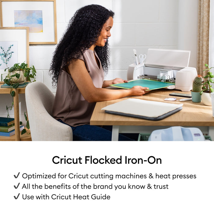 Cricut Flocked Iron-On, Classics Sampler - 12 in x 12 in 5 ct