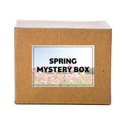 Mystery Box 3 Bundle - Cricut Spring