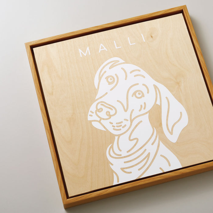 Cricut Premium Vinyl Bundle - 5 Adhesive Vinyl Rolls- Something Blue